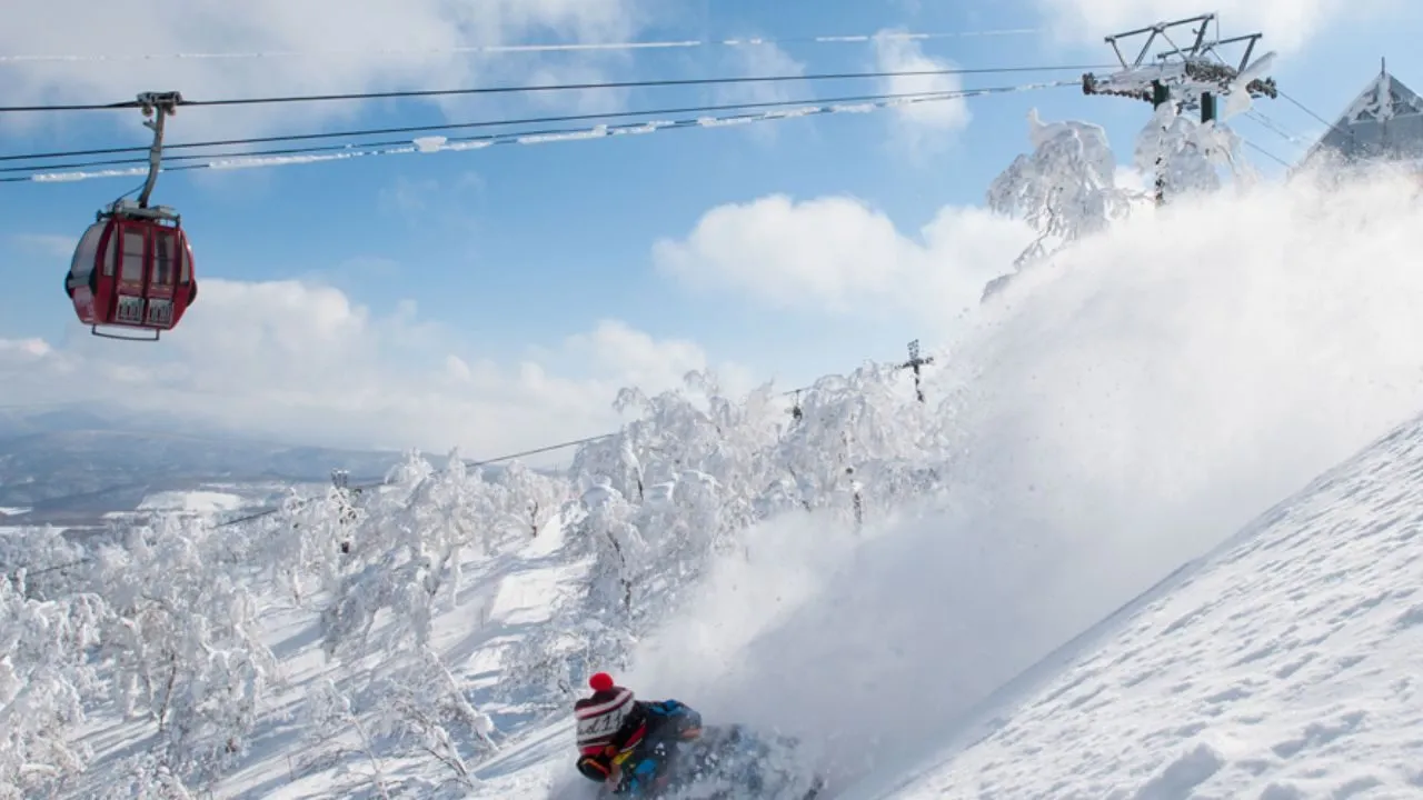 trượt tuyết cáp nhĩ tân